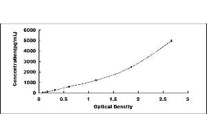 Typical standard curve (PFN1 ELISA 试剂盒)