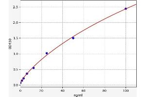 Typical standard curve (PKC epsilon ELISA 试剂盒)