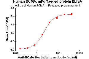 ELISA plate pre-coated by 2 μg/mL (100 μL/well) Human BCMA, mFc tagged protein (ABIN6961108, ABIN7042245 and ABIN7042246) can bind Anti-BCMA Neutralizing antibody ABIN6964441 and ABIN7272577 in a linear range of 0. (BCMA Protein (AA 1-54) (mFc Tag))