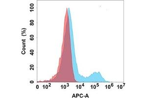 Flow cytometry analysis with Anti-NTB-A (DM159) on Expi293 cells transfected with human NTB-A (Blue histogram) or Expi293 transfected with irrelevant protein (Red histogram). (SLAMF6 抗体  (AA 22-226))