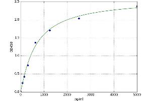 CBY1/PGEA1 ELISA 试剂盒