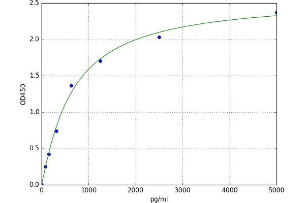 CBY1/PGEA1 ELISA 试剂盒