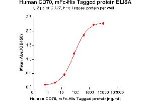 ELISA plate pre-coated by 2 μg/mL (100 μL/well) Human CD27, hFc tagged protein ([getskuurl sku