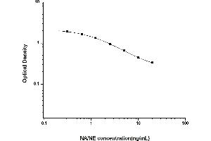 ELISA image for Noradrenaline/Norepinephrine ELISA Kit (ABIN6963385)