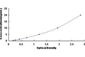 Typical standard curve (NFYC ELISA 试剂盒)