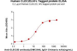 ELISA plate pre-coated by 2 μg/mL (100 μL/well) Human CD Protein, hFc Tag(ABIN6964152, ABIN7042581 and ABIN7042582) can bind Anti-CD antibody, IgG1 Chimeric mAb in a linear range of 3. (CLEC2D Protein (Fc Tag))