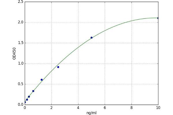 APLP2 ELISA 试剂盒