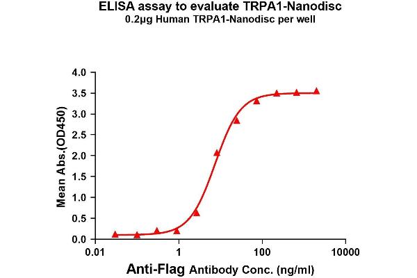 TRPA1 蛋白