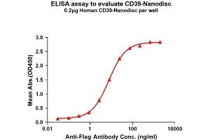 Elisa plates were pre-coated with Flag Tag CD39-Nanodisc (0. (CD39 蛋白)