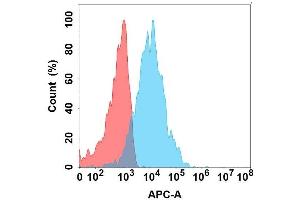 Flow cytometry analysis with Anti-CRTAM on Expi293 cells transfected with human CRTAM (Blue histogram) or Expi293 transfected with irrelevant protein (Red histogram). (CRTAM 抗体)