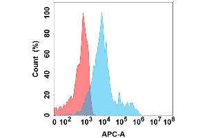 Flow cytometry analysis with Anti- on Expi293 cells transfected with human (Blue histogram) or Expi293 transfected with irrelevant protein (Red histogram). (CCR4 抗体)