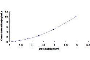 ELISA image for Protein Kinase C, beta 1 (Pkc beta 1) ELISA Kit (ABIN416522) (Pkc beta 1 ELISA 试剂盒)