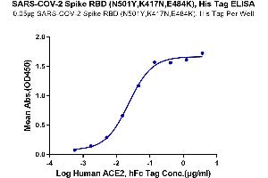 ELISA image for SARS-CoV-2 Spike (E484K), (K417N), (N501Y), (RBD) protein (His tag) (ABIN7274387)