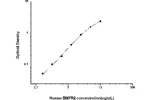 BMPR2 ELISA 试剂盒