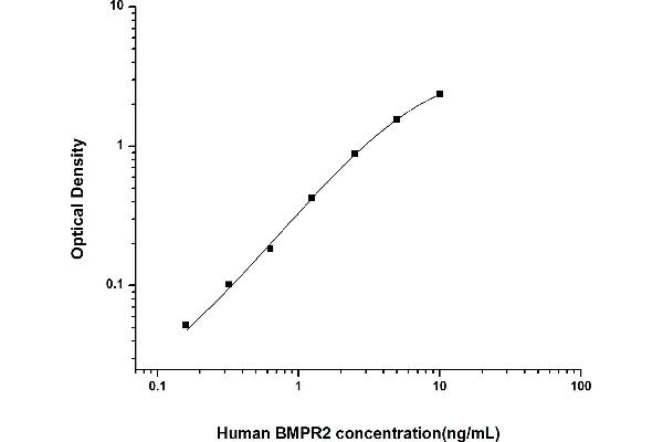 BMPR2 ELISA 试剂盒