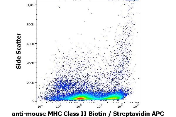 MHC Class II 抗体  (Biotin)