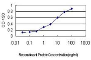 Detection limit for recombinant GST tagged USP5 is approximately 0. (USP5 抗体  (AA 71-180))