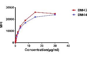 Affinity ranking of different Rabbit anti-CD48 mAb clones by titration of different concentration onto H929 cells. (Recombinant CD48 抗体  (AA 27-220))