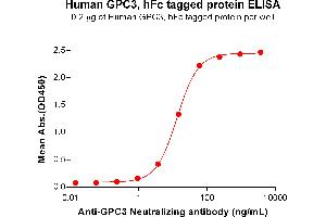 ELISA plate pre-coated by 2 μg/mL (100 μL/well) Human Protein, hFc Tag (ABIN7092674, ABIN7272488 and ABIN7272489) can bind Anti- Neutralizing antibody ABIN7478032 and ABIN7491011 in a linear range of 0. (Glypican 3 Protein (GPC3) (Fc Tag))