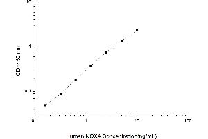 Typical standard curve (NADPH Oxidase 4 ELISA 试剂盒)