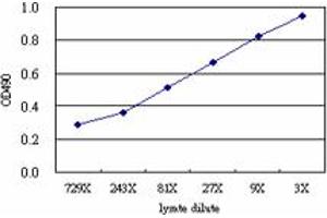 Sandwich ELISA detection sensitivity ranging from approximately 729x to 3x dilution of the SPHK1 293T overexpression lysate (non-denatured). (SPHK1 (人) Matched Antibody Pair)