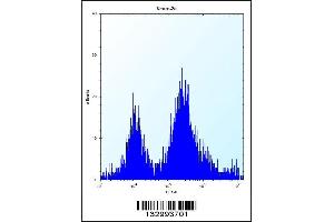 Flow cytometric analysis of Neuro-2a cells (right histogram) compared to a negative control cell (left histogram). (UBE2E2 抗体  (N-Term))