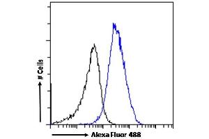 Flow Cytometry (FACS) image for anti-Chromobox Homolog 3 (CBX3) (Internal Region) antibody (ABIN185493)