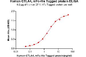 ELISA plate pre-coated by 2 μg/mL (100 μL/well) Human B7-1, hFc tagged protein ABIN6961158, ABIN7042345 and ABIN7042346 can bind Human C, mFc-His tagged protein (ABIN6961090, ABIN7042209 and ABIN7042210) in a linear range of 0. (CTLA4 Protein (AA 36-161) (mFc-His Tag))
