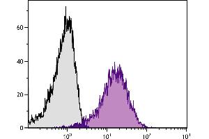 Human peripheral blood platelets were stained with Mouse Anti-Human CD36-FITC. (CD36 抗体)