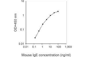 ELISA image for IgE ELISA Kit (ABIN1979525) (IgE ELISA 试剂盒)