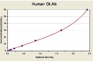 Diagramm of the ELISA kit to detect Human OLAbwith the optical density on the x-axis and the concentration on the y-axis. (Anti-Oxidized Low Density Lipoprotein Antibody ELISA 试剂盒)