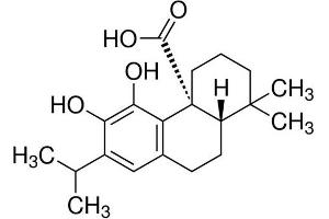 Molecule (M) image for Carnosic acid (ABIN5022104)