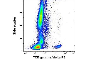 Flow cytometry surface staining pattern of human peripheral whole blood stained using anti-human TCR gamma/delta (11F2) PE antibody (10 μL reagent / 100 μL of peripheral whole blood). (TCR gamma/delta 抗体  (PE))