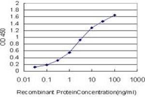 Detection limit for recombinant GST tagged FOXM1 is approximately 0. (FOXM1 抗体  (AA 702-801))