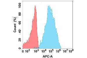 Flow cytometry analysis with Anti-SL on Expi293 cells transfected with human SL (Blue histogram) or Expi293 transfected with irrelevant protein (Red histogram). (CD84 抗体)