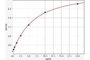 Typical standard curve (Fibrillin 1 ELISA 试剂盒)