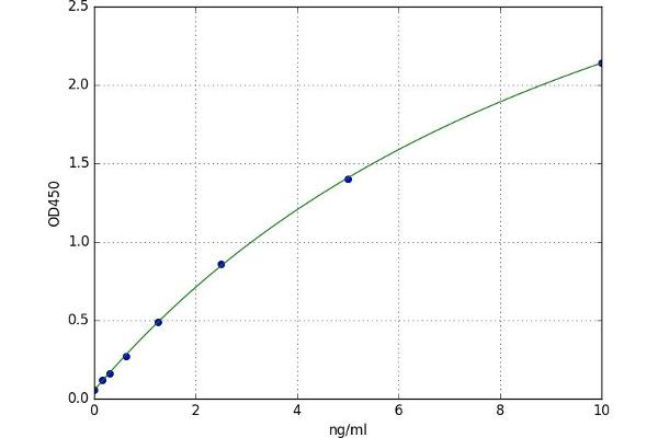 RAPGEF4 ELISA 试剂盒