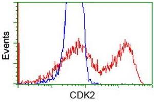 HEK293T cells transfected with either RC200494 overexpress plasmid (Red) or empty vector control plasmid (Blue) were immunostained by anti-CDK2 antibody (ABIN2454523), and then analyzed by flow cytometry. (CDK2 抗体)