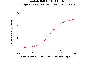 ELISA plate pre-coated by 1 μg/mL (100 μL/well) Human A protein, His Tag ABIN6964219, ABIN7042673 and ABIN7042674 can bind Anti-A Neutralizing antibody (ABIN7093080 and ABIN7272610) in a linear range of 0. (Recombinant ADAM9 抗体)