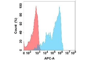 Flow cytometry analysis with Anti-CD162 on Expi293 cells transfected with human CD162 (Blue histogram) or Expi293 transfected with irrelevant protein (Red histogram). (SELPLG 抗体)