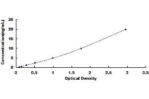 Typical standard curve (Caspase 8 ELISA 试剂盒)