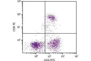 Feline peripheral blood lymphocytes were stained with Mouse Anti-Feline CD5-FITC. (CD5 抗体  (FITC))