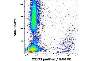 Flow cytometry surface staining pattern of human peripheral whole blood stained using anti-human CD173 (MEM-195) purified antibody (concentration in sample 5 μg/mL, GAM PE). (CD173 抗体)