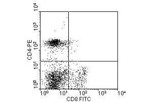 Image no. 1 for anti-CD4 (CD4) antibody (PE) (ABIN135475) (CD4 抗体  (PE))