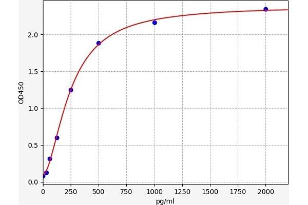 Caspase 6 ELISA 试剂盒