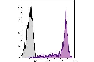 BALB/c mouse splenocytes were stained with Rat Anti-Mouse CD45RB-SPRD. (CD45RB 抗体  (SPRD))