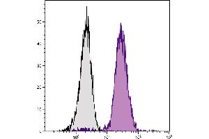 C57BL/6 mouse bone marrow cells were stained with Mouse Anti-Mouse CD45. (CD45.2 抗体  (SPRD))