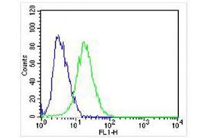 Overlay histogram showing SH-SY5Y cells stained with (ABIN6242228 and ABIN6578319) (green line). (NGFR 抗体  (C-Term))