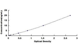 Typical standard curve (alpha Fetoprotein ELISA 试剂盒)