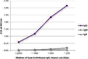 ELISA plate was coated with purified mouse IgG, IgM, and IgA. (山羊 anti-小鼠 IgG Antibody (beta-Gal))